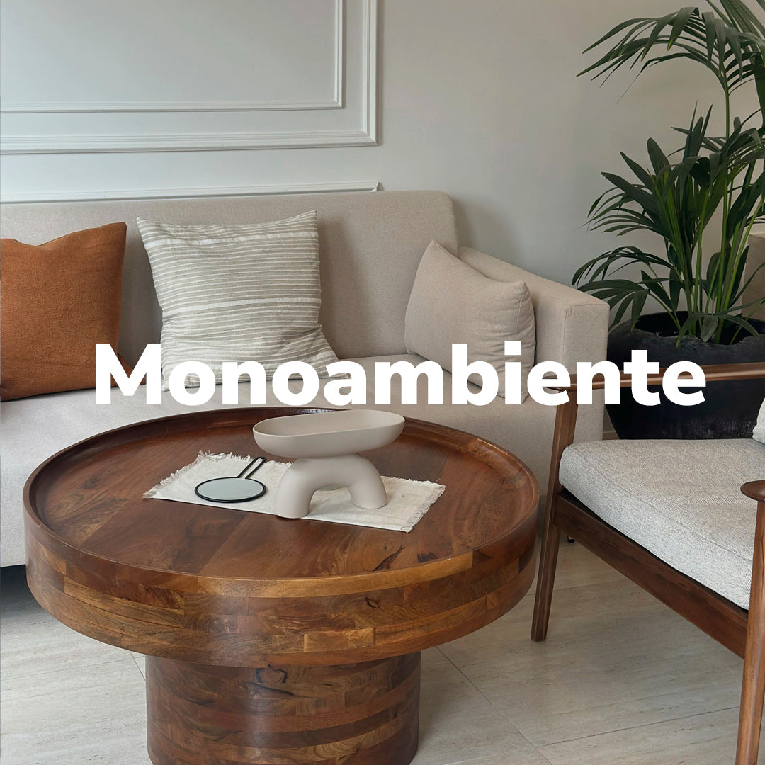 monoambiente